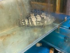 -北京清河镇农副产品交易市场中心