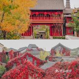 京郊团建｜2h即可到达的最美红叶秋景·古北水镇