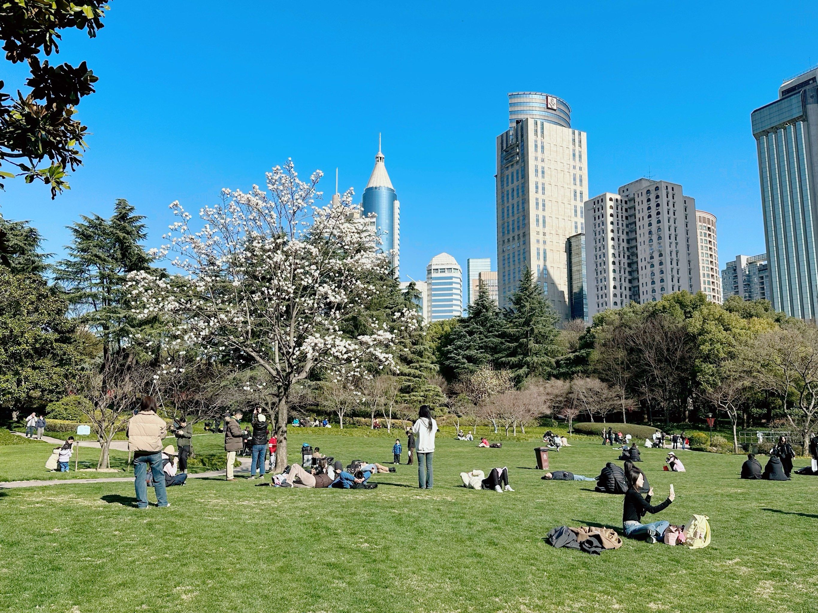 城市公园图鉴|"生态交往",以人为本🉐广场公园(延中绿地)