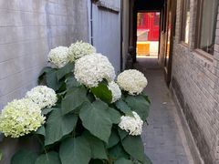 -四喜小胖·北京涮肉(五道营店)