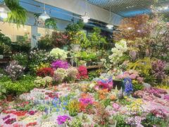 -双季花艺园艺市场(浦东店)