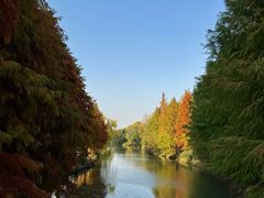 -昆山城市生态森林公园