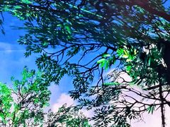 -杭州宋城