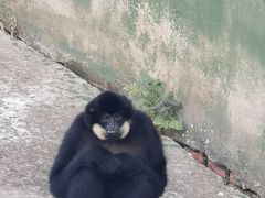 -合肥野生动物园