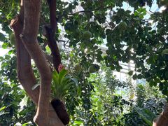 -国家植物园南园