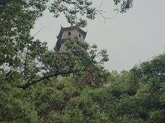 -江心屿景区