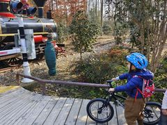 -合肥滨湖国家森林公园