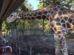 -清迈夜间动物园