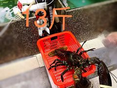 -蚝专家(北滘店)