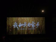 -万达影城(长沙婚庆公园中国巨幕店)