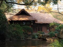 -中国茶叶博物馆(双峰馆区)