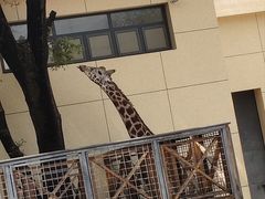-昆明动物园