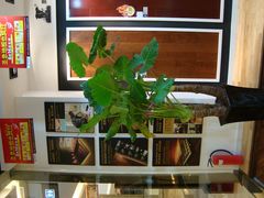 -圣象地板(红星美凯龙真北店南北馆店)