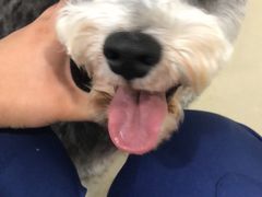 -佳雯宠物医院(金华南路分院)