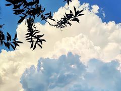 -北港方记海鲜楼·海景餐厅