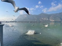 -海埂大坝