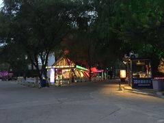 枫花园汽车影院-枫花园汽车电影院(朝阳公园店)