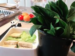 -渡娘火锅(大兴大悦春风里店)