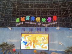 -泉城欧乐堡海洋极地世界