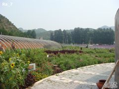 -紫海香堤香草艺术庄园