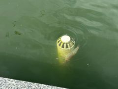 -DGE季风钓虾营地·团建·聚会