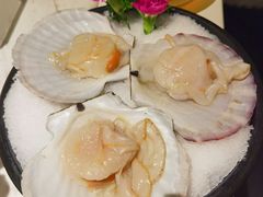-汤城·料青山