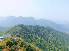 -镇江市南山风景名胜区竹林景区