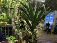 -ITA·意塔意大利餐厅(亦庄店)