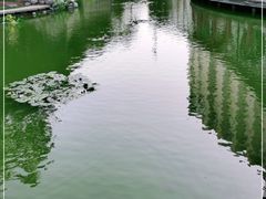 -临空皇冠假日酒店-西餐厅(首都机场店)