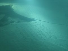 -白鹤梁水下博物馆