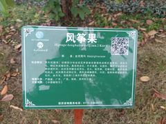 -广西壮族自治区药用植物园