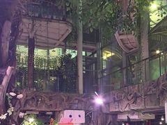 -正佳雨林生态植物园