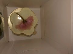 -云朵上的鱼(莘庄店)