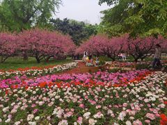-香山公园