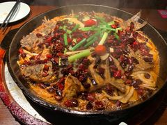-老板恋上鱼(高新万达店)