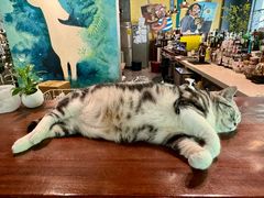 -咖法森林·咖啡  酒吧(天河店)