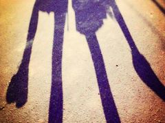 android_upload_pic-北京东方普罗旺斯薰衣草庄园