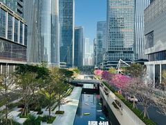 -深圳湾万象城(南山店)