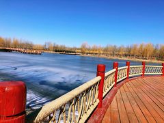 -东郊湿地公园