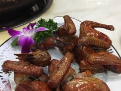 -鸽鸟轩(石岐店)