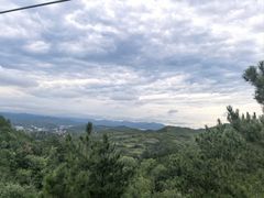 -磬锤峰森林公园