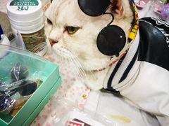 -吴山路夜市