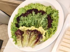-澳门豆捞(裕华东路店)