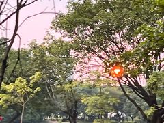 -王借岗森林公园