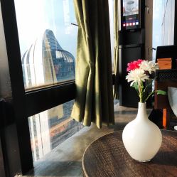 -V-STAR威斯达•高级私人定制