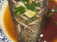 -陈记菜馆·非遗淮扬菜(东关街教场店)