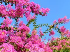 -杭州城北体育公园