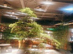 -丹江渔村(首都机场店)