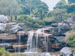 -东莞植物园