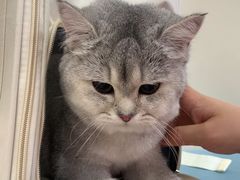 -美联众合动物医院·24h京西诊疗中心
